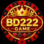 BD222 Game