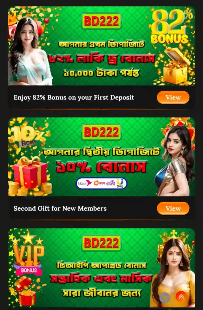 BD222 Game