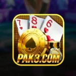 PAK3 Game